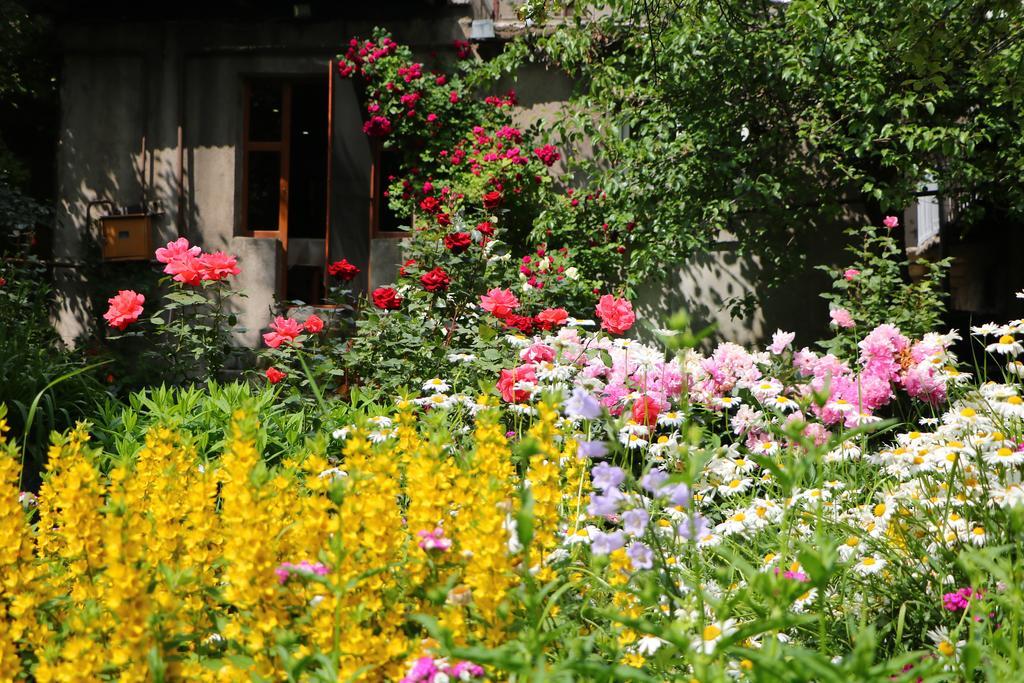 Hotel Mira Goris Exterior photo